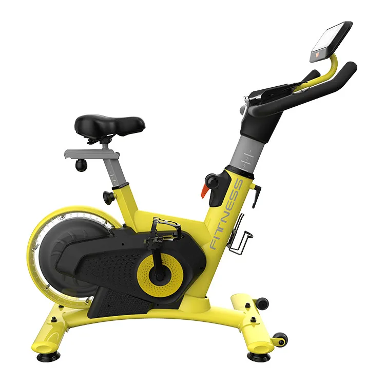Commercial Indoor Bike